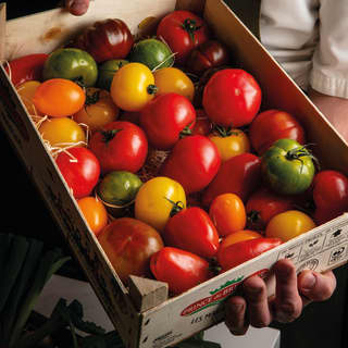 A wooden crate of mixed tomatoes, big and small, in vibrant red, yellow, orange and green, seen from above in close-up.