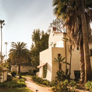 Hotel garden path surrounded by lush succulents and tall palms